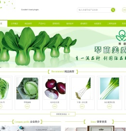 白菜种子,甘蓝种子,洋葱种子,番茄种子,黄瓜种子,大葱种子,西兰花种子,萝卜种子,青岛国际种苗有限公司