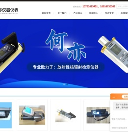 在线辐射检测仪