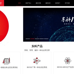 东科软件