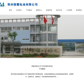 纽扣电池,扣式电池,玩具专用电池,遥控器电池