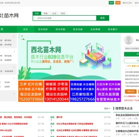 西北苗木网
