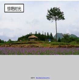 惊艳时光