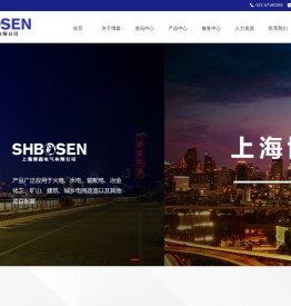 上海博森电气有限公司