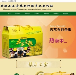 肇源县原古粮食种植专业合作社