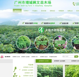 广州市增城枫文苗木场