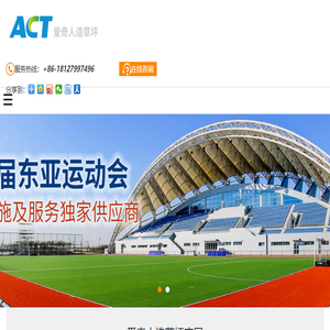 ACT爱奇人造草