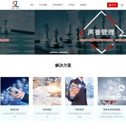 数仑竞争情报研究