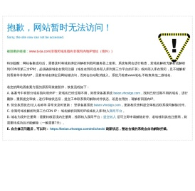 天津锐吉安吊装服务有限公司