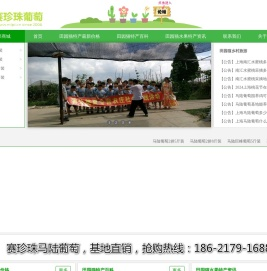 马陆葡萄网