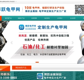 龟甲网生产厂家