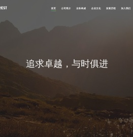 沈阳瑞峰软件有限公司