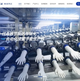专业手套设备制造商