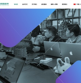 智奇胜软件