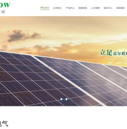 江西雷尔盾威电气有限公司