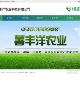 巴林左旗薯丰洋农业科技有限公司