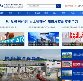 大湾区经济网