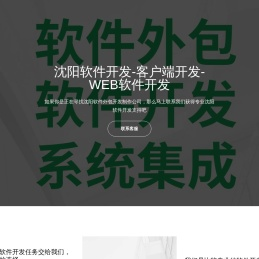沈阳软件外包公司