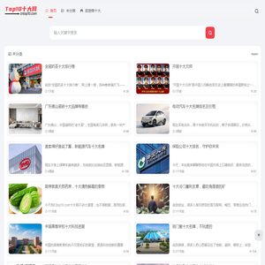 Top10十大网
