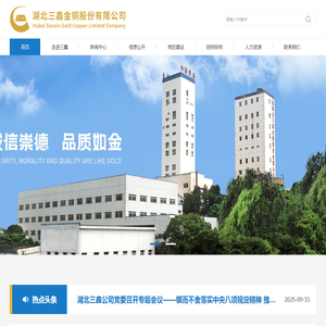 湖北三鑫金铜股份有限公司