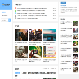国外视频素材网站免费