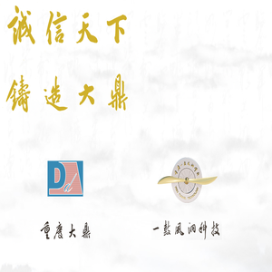 重庆大鼎集团