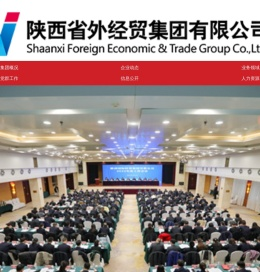 陕西省外经贸集团有限公司