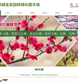 榉树/香樟/无患子/乌桕/红梅种植基地批发供应商