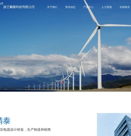 浙江精泰科技有限公司