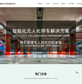 河北朗强电子科技有限公司