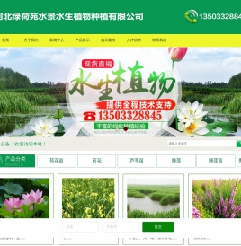 河北绿荷苑水景水生植物种植有限公司