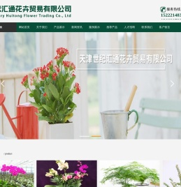 天津绿植租摆公司