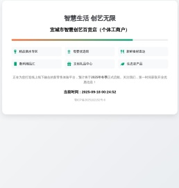 宜城市智慧创艺百货店