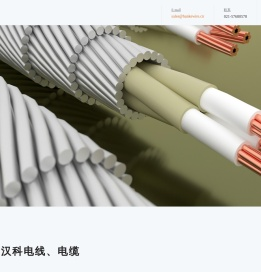 上海汉科电线有限公司