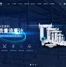 质量流量计