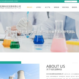 武汉马跃龙腾科技发展有限公司
