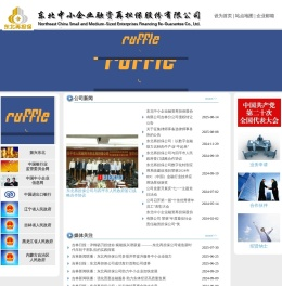 东北中小企业信用再担保股份有限公司
