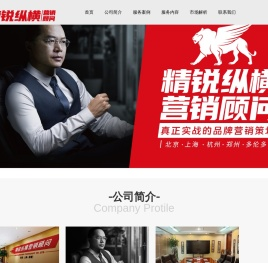 精锐纵横营销顾问