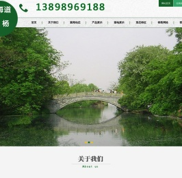 辽宁葫芦岛北海道黄杨,辽宁省苗木基地,北海道黄杨供应商,黄杨树,大叶杨,小叶黄杨,海道黄杨价格,北海道黄杨求购,辽宁北海道黄杨