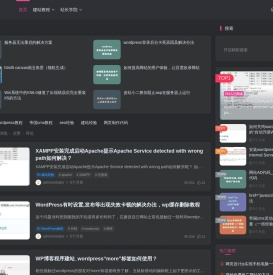 皮站网