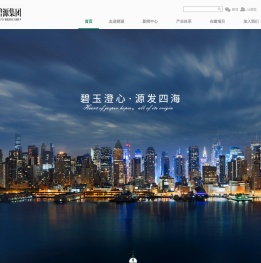 碧源控股集团有限公司