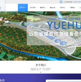 山东岳华能源集团有限公司