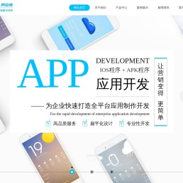 开发APP,就找阿拉奇