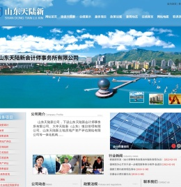 山东天陆新会计师事务所有限公司