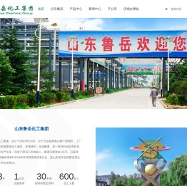 山东鲁岳化工集团