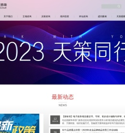 可行性研究报告