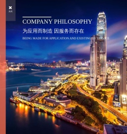 沈阳新生电气集团有限公司