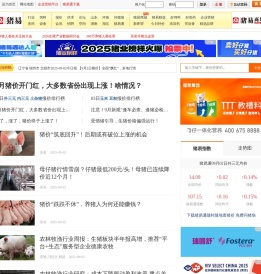 猪易网