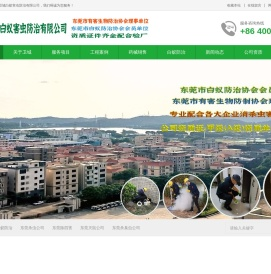 东莞白蚁防治