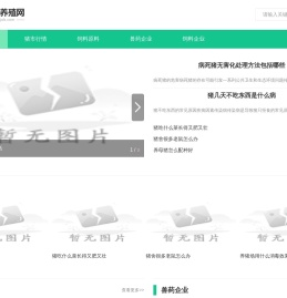 四季猪养殖网站