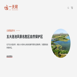 一天网